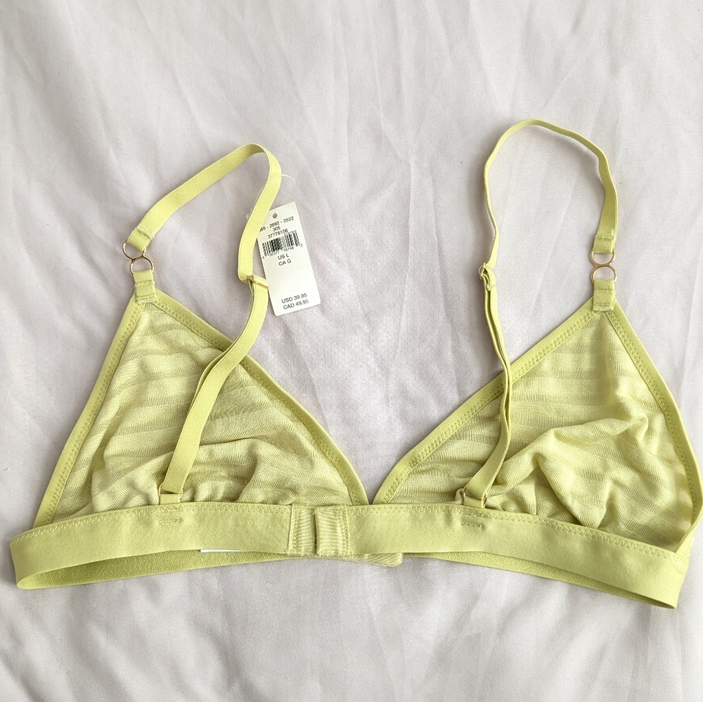 New Aerie Velvet Mesh Stripe Triangle Bralette‎ Bra Large NWT - Picture 3 of 6